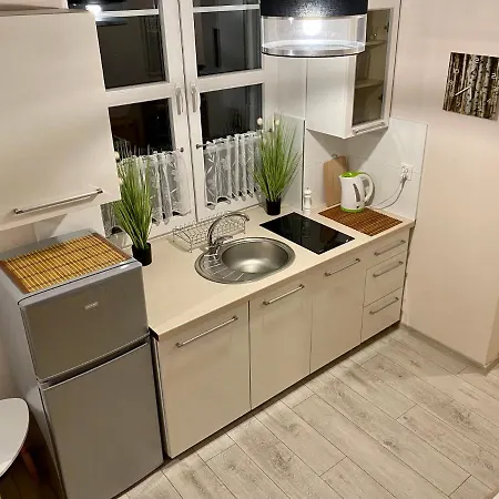 Apartmán W Brzozowym Gaju