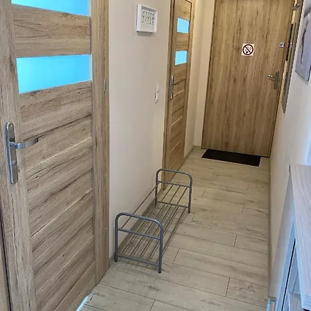 W Brzozowym Gaju Apartment