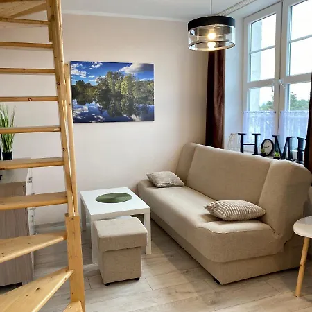 W Brzozowym Gaju Kudowa-Zdrój