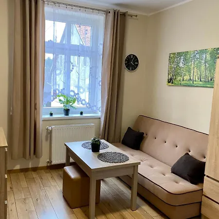 W Brzozowym Gaju Apartmán *