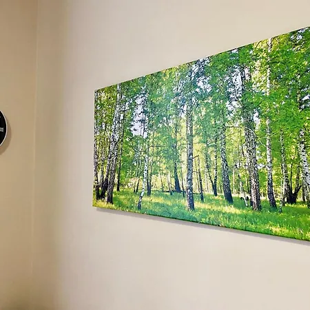 W Brzozowym Gaju Apartmán *