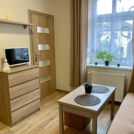 W Brzozowym Gaju Kudowa-Zdrój