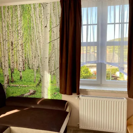 W Brzozowym Gaju Apartmán Kudowa-Zdrój