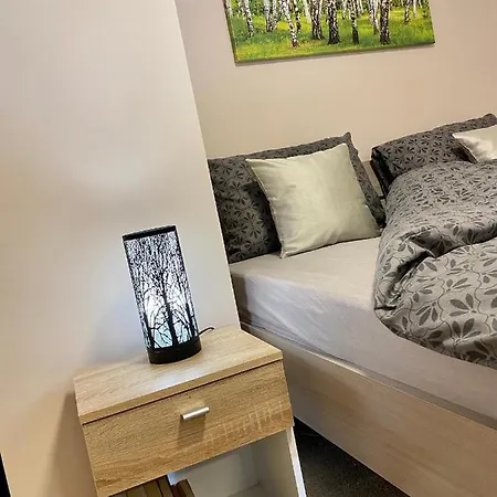 W Brzozowym Gaju Apartament *