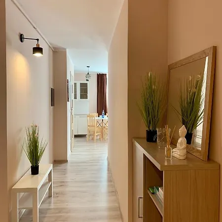 W Brzozowym Gaju Kudowa-Zdrój