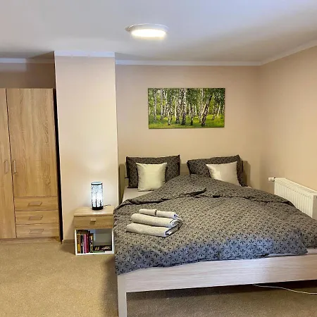 W Brzozowym Gaju Kudowa-Zdrój