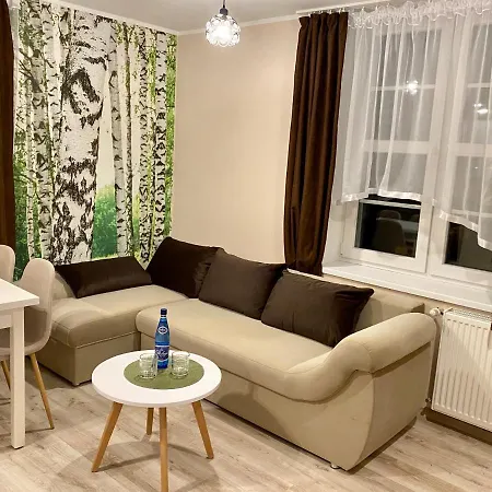 W Brzozowym Gaju * Kudowa-Zdrój