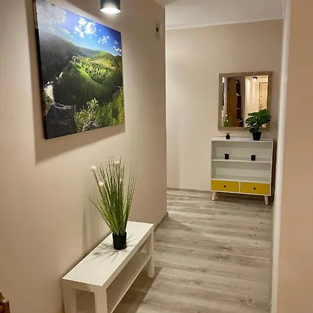 W Brzozowym Gaju Kudowa-Zdrój