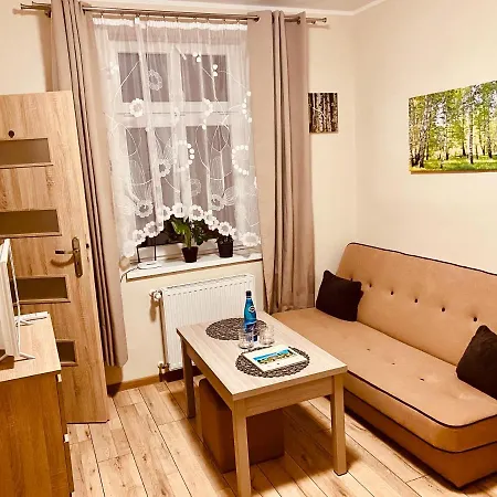 W Brzozowym Gaju Kudowa-Zdrój