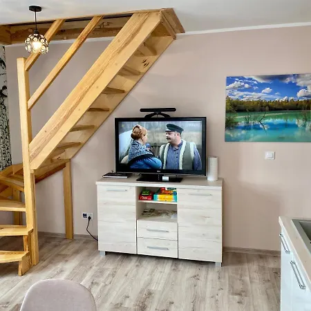 W Brzozowym Gaju Kudowa-Zdrój