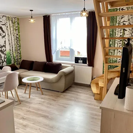 W Brzozowym Gaju Apartment *
