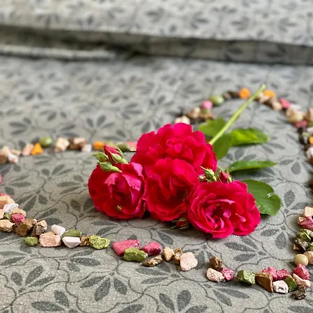 Appartamento W Brzozowym Gaju *