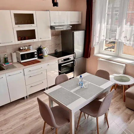 W Brzozowym Gaju Kudowa-Zdrój