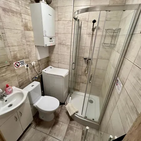 W Brzozowym Gaju Kudowa-Zdrój