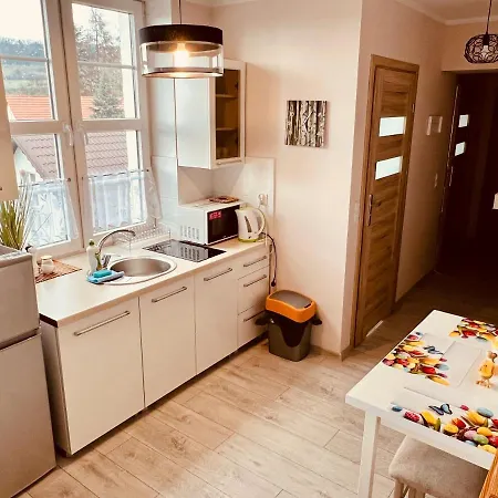 Apartment W Brzozowym Gaju