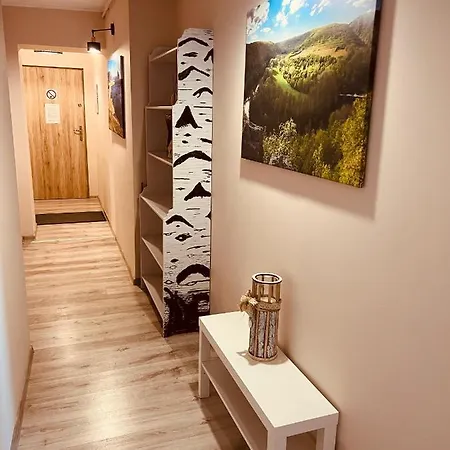 W Brzozowym Gaju Apartament Kudowa-Zdrój