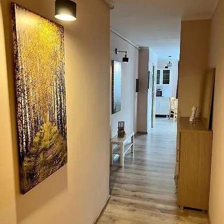 W Brzozowym Gaju Kudowa Zdroj