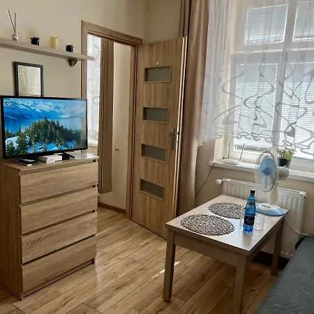 W Brzozowym Gaju Apartment Kudowa Zdroj