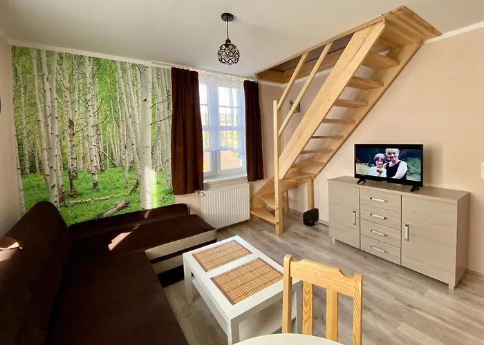 W Brzozowym Gaju Apartment Kudowa Zdroj