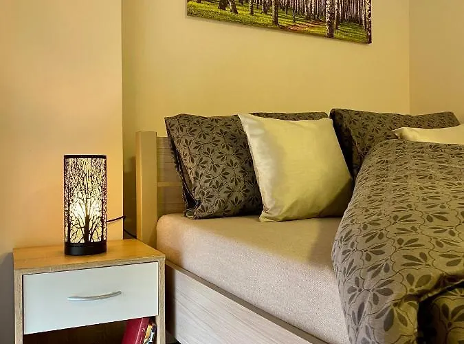 W Brzozowym Gaju Kudowa-Zdroj