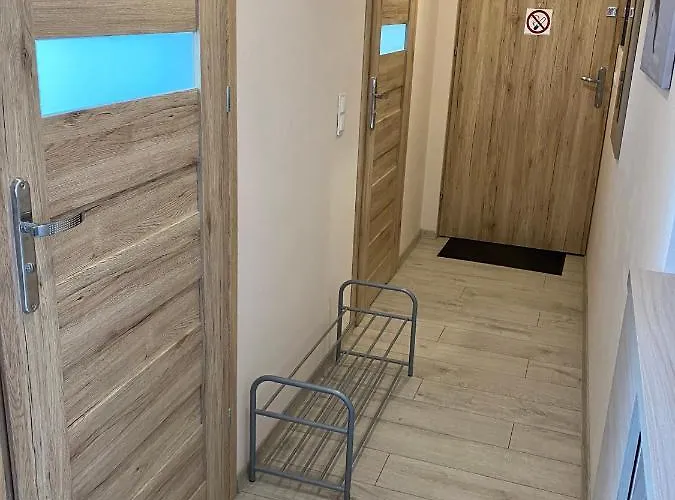 W Brzozowym Gaju Apartment