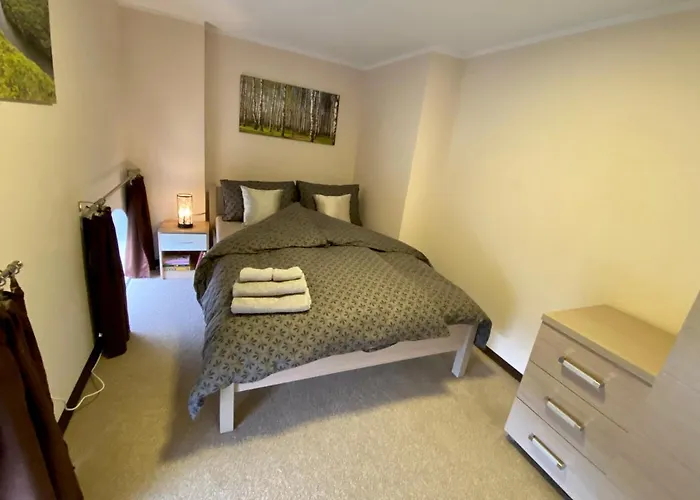 W Brzozowym Gaju Apartment Kudowa Zdroj