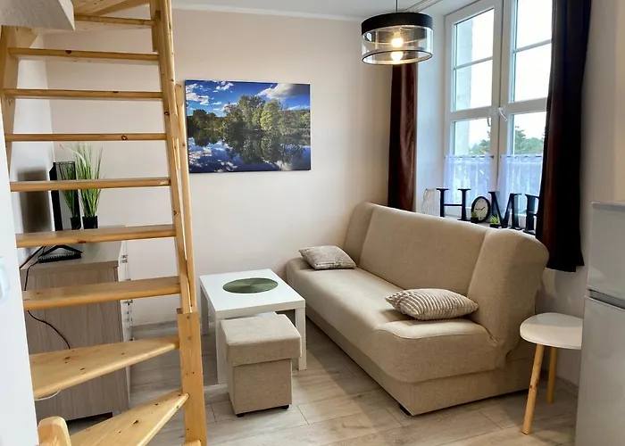 W Brzozowym Gaju Kudowa Zdroj