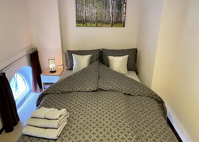 W Brzozowym Gaju Apartment