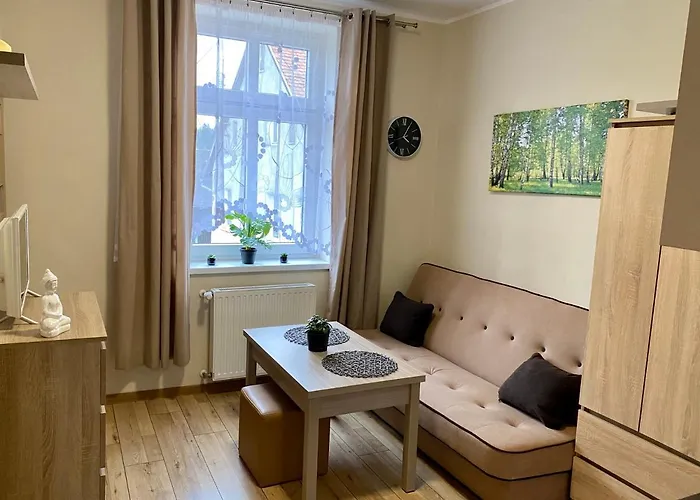 W Brzozowym Gaju Apartment *