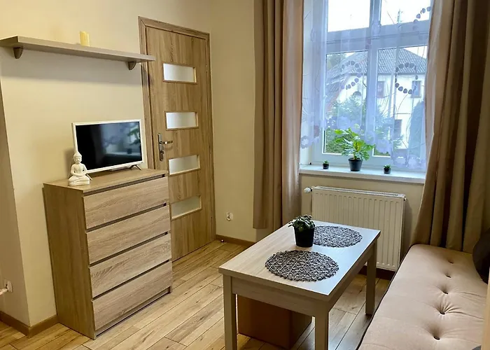 W Brzozowym Gaju Kudowa Zdroj