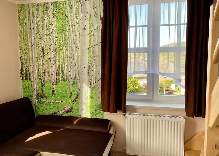 W Brzozowym Gaju Apartment Kudowa Zdroj