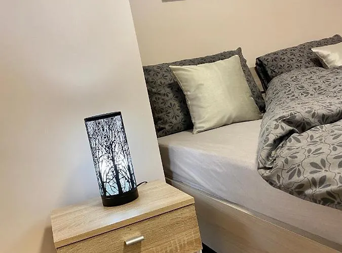 W Brzozowym Gaju Apartment *