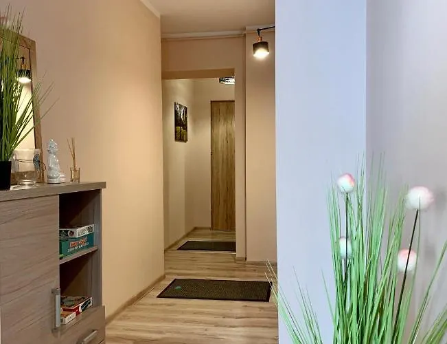 Apartment W Brzozowym Gaju Kudowa Zdroj