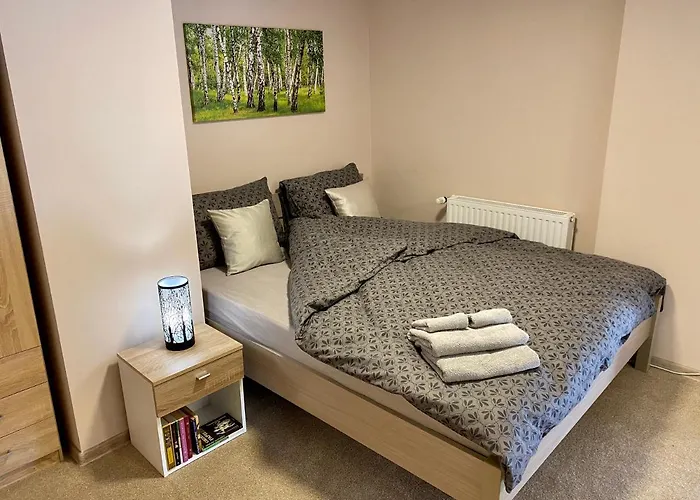 Daire W Brzozowym Gaju *