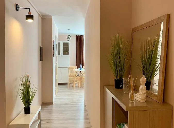 W Brzozowym Gaju Kudowa Zdroj