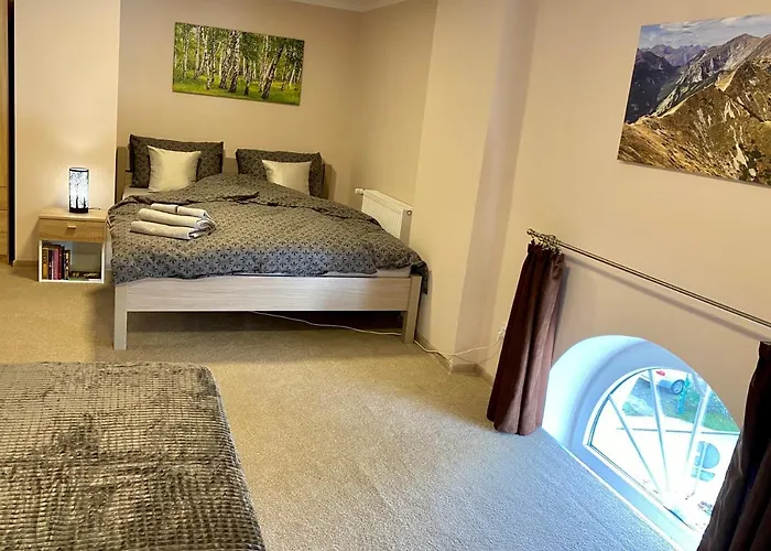 W Brzozowym Gaju Kudowa-Zdroj