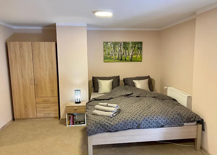 W Brzozowym Gaju Kudowa Zdroj