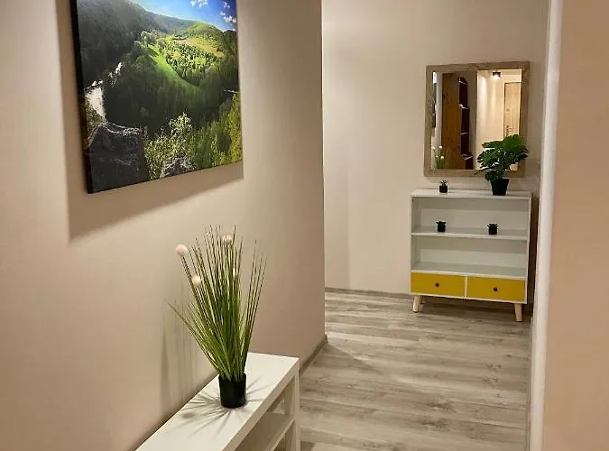 W Brzozowym Gaju Kudowa-Zdroj