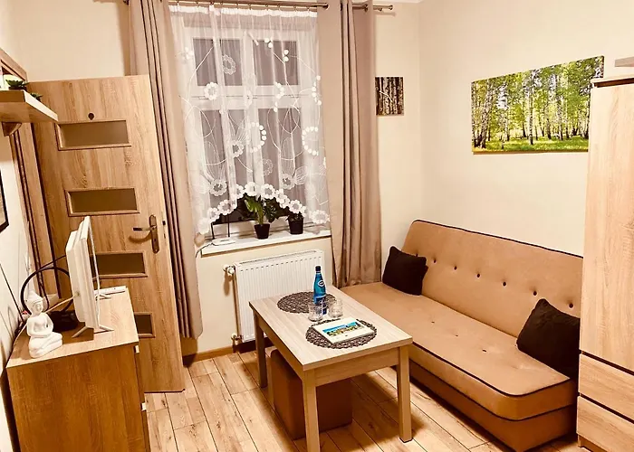 W Brzozowym Gaju Kudowa Zdroj