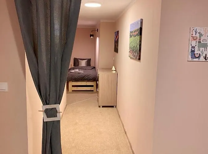 W Brzozowym Gaju Apartment *