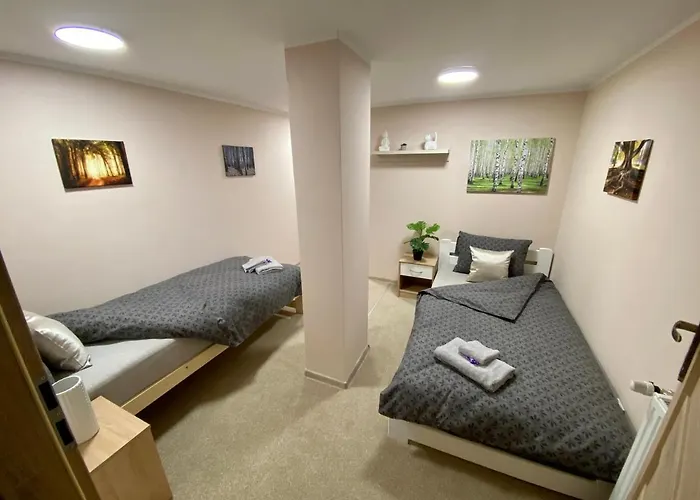 W Brzozowym Gaju Apartment