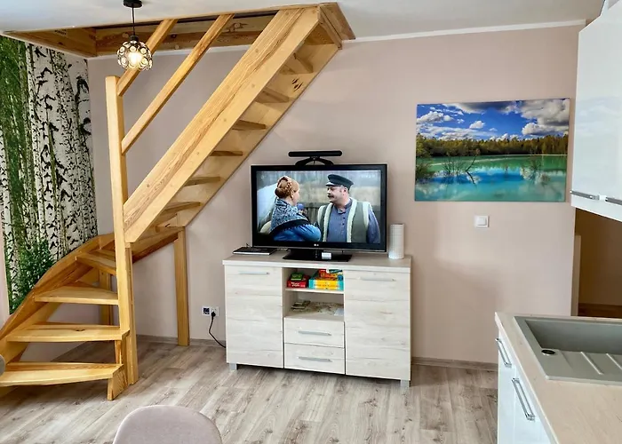 W Brzozowym Gaju Kudowa Zdroj