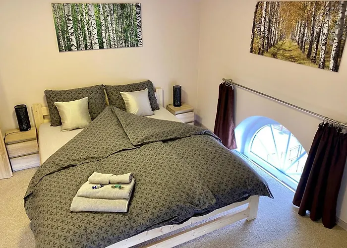 W Brzozowym Gaju Apartment