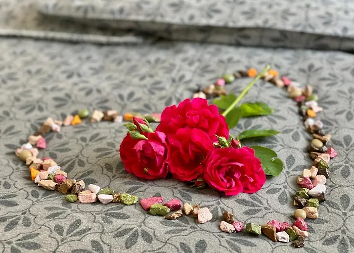 Apartment W Brzozowym Gaju *