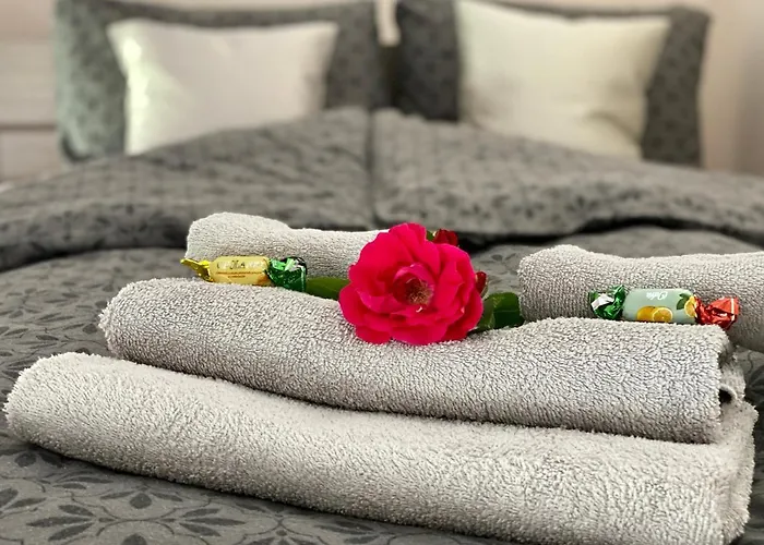 W Brzozowym Gaju Apartment Kudowa Zdroj