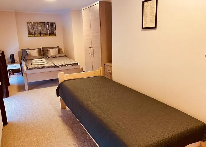 W Brzozowym Gaju Kudowa Zdroj