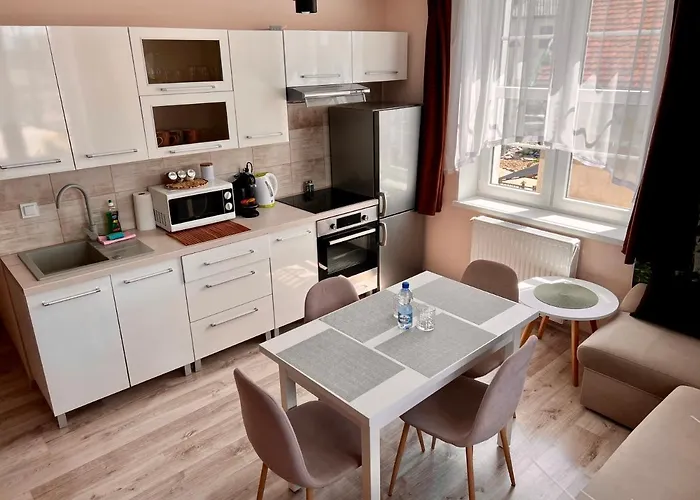 W Brzozowym Gaju Kudowa Zdroj