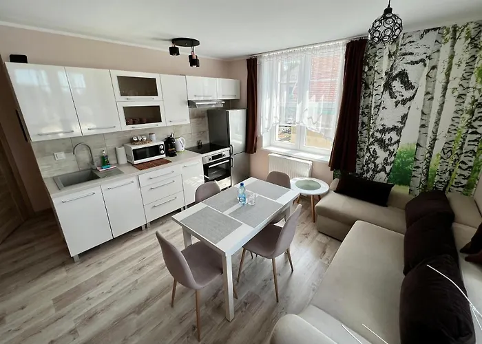 Apartment W Brzozowym Gaju Kudowa Zdroj